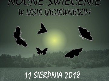 Zaproszenia na kolejne warsztaty entomologiczne - poznaj przyrodę Lasu Łagiewnickiego od ciemnej strony!, 